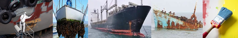 Marine anti-fouling paint