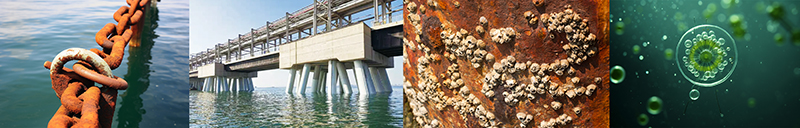 Ultra-fine Particle Size & High Uniformity Ultra-fine Particle Size & High Uniformity